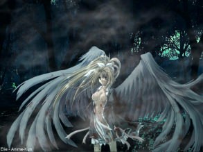 ����� �����